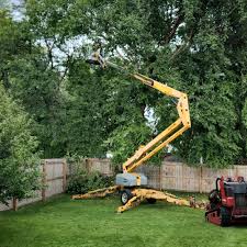 Best Arborist Consultation Services  in Glenwood, IL